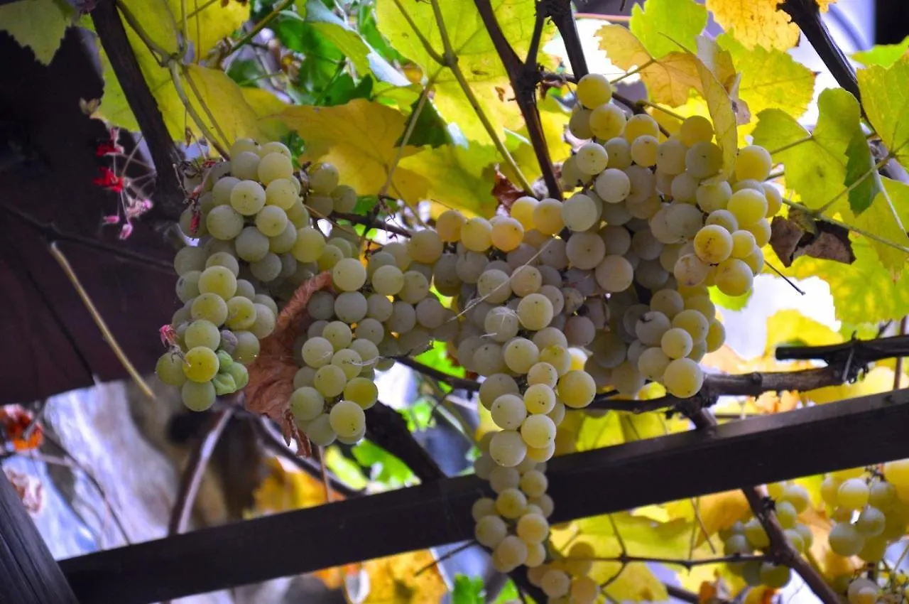 Agriturismo Barcola Grandola ed Uniti 0*,  Italia